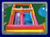 Giant Slide 24' feet high x 18 foot giant slide.  One of the most popular for school events and picnics.